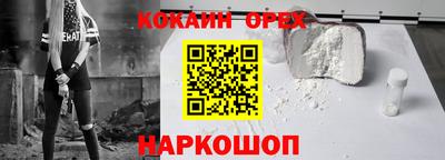 гашик Кинель