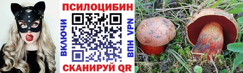 OMG tor  продажа наркотиков  Кировск  Галлюциногенные грибы ЛСД 