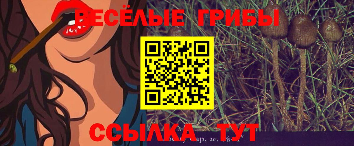 Кировск  Галлюциногенные грибы прущие грибы  Псилоцибиновые грибы мухоморы  Вход с VPN 